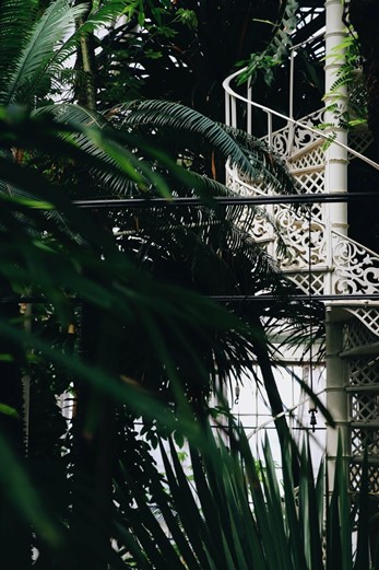 Botanische Garten in Kopenhagen